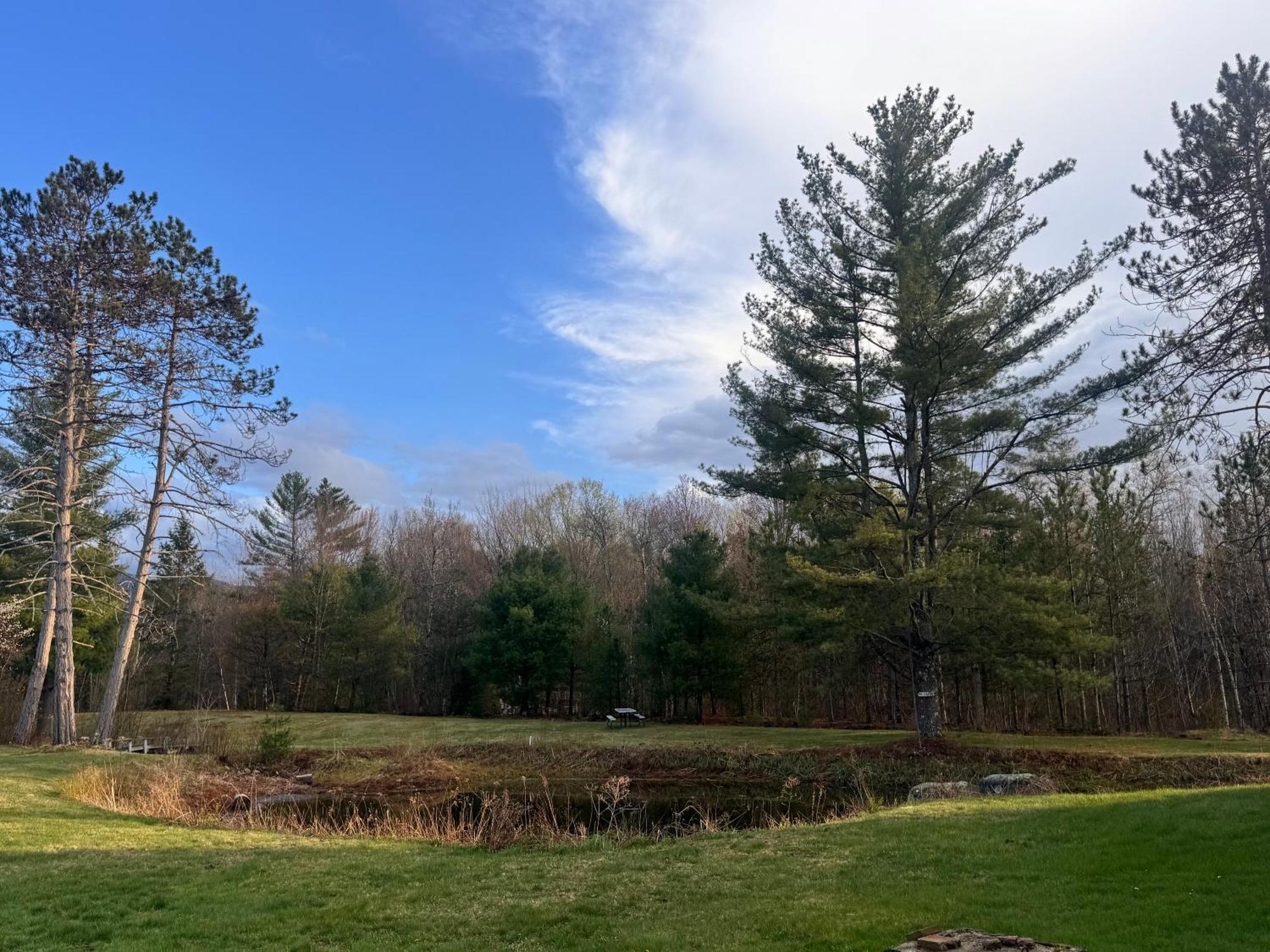 Stonybrook Motel & Lodge Franconia Esterno foto